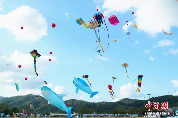 广东省第十一届风筝锦标